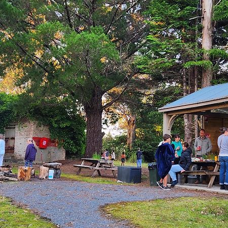Zeehan Bush Camp Eksteriør bilde