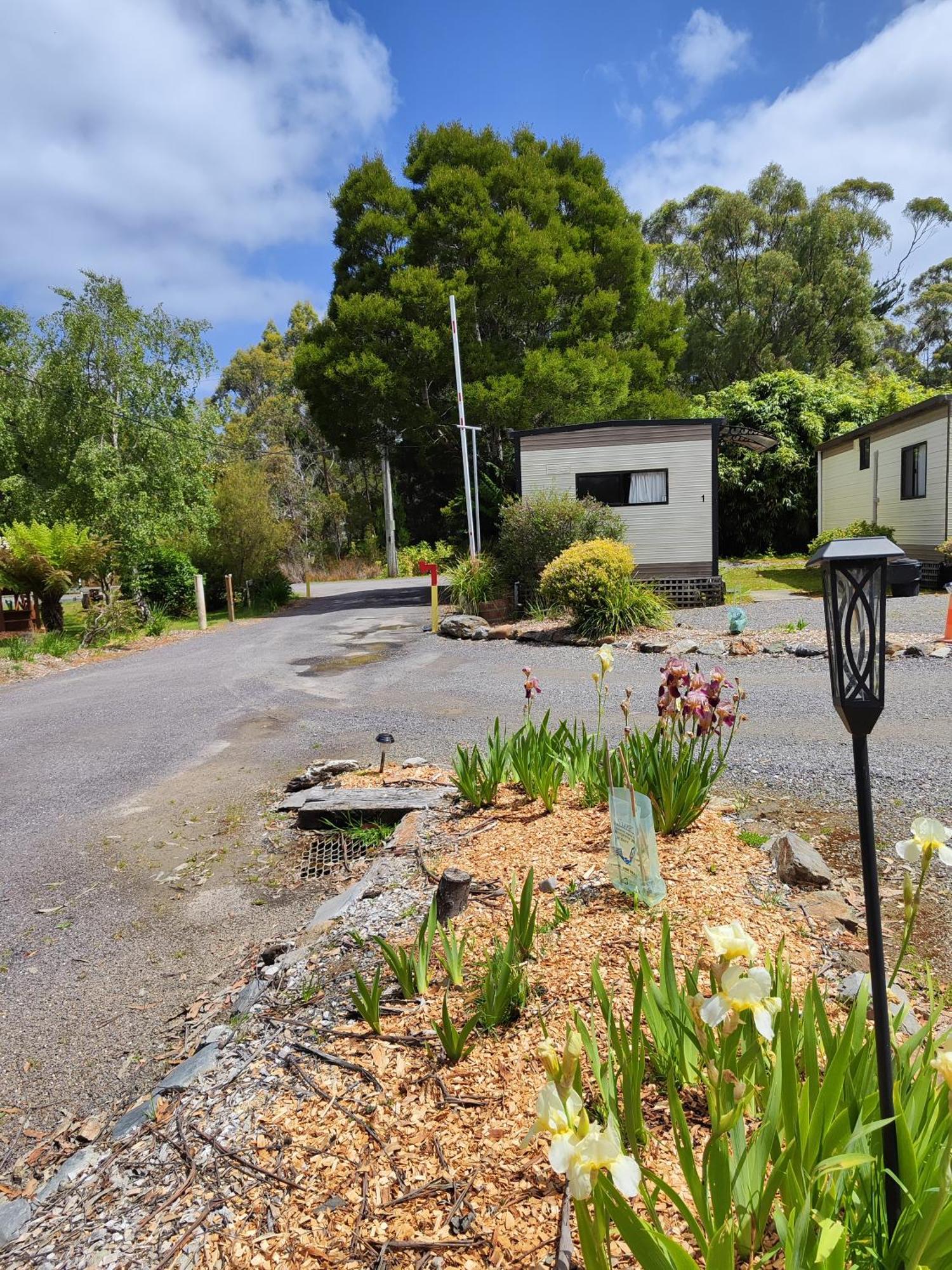 Zeehan Bush Camp Eksteriør bilde